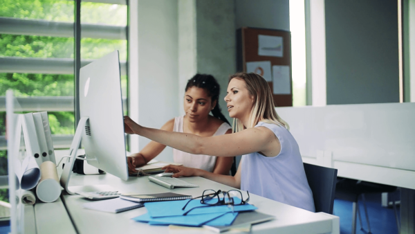 Two young women with computer sitting at the desk in the office working ZumaZip